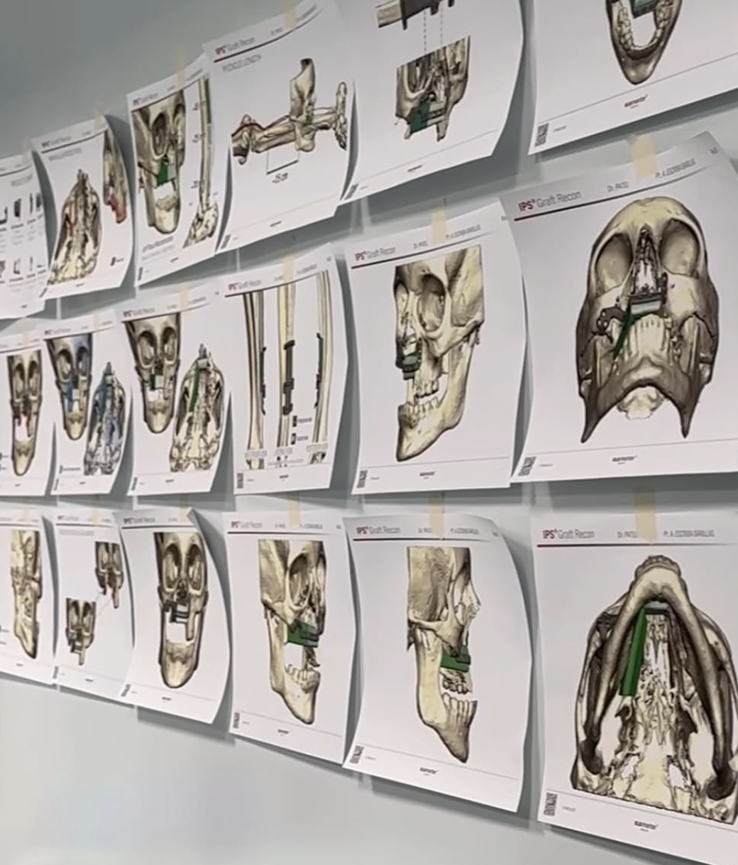 Dr. Hadar Gez-Reder portrait